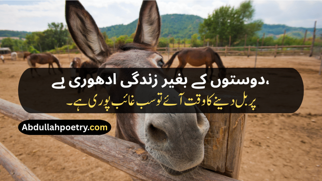 Funny Poetry In Urdu
Funny Poetry In Urdu For Friends
Funny Poetry In Urdu 2 Lines
Funny Poetry In Urdu For Students
Funny Poetry For Teachers In Urdu
Funny Poetry In Urdu For Teachers
Funny Poetry On Girl In Urdu
Funny Friendship Poetry In Urdu Two Lines
Funny Poetry For Girls
Funny Shayari
Funny Friendship Shayari
Jokes Funny Shayari
Funny Love Shayari
2 Line Funny Shayari For Best Friend
Funny Shayari For Girls
2 Line Funny Shayari
Bhabhi Shayari Funny
Funny Poetry In Punjabi
Funny Shayari In Hindi
Funny Shayari In English