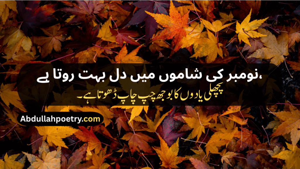 November Poetry
November Poetry In Urdu
November Poetry In Urdu 2 Lines
November Poetry In Urdu 2 Lines Copy Paste
November Poetry In Urdu Text
November Sad Poetry
November Love Poetry
Alvida November Poetry 
November Shayari
November Shayari 2 Lines
November Sad Shayari
November Love Shayari
Alvida November Shayari
November Shayari In Punjabi
November Shayari In Hindi
November Shayari In English