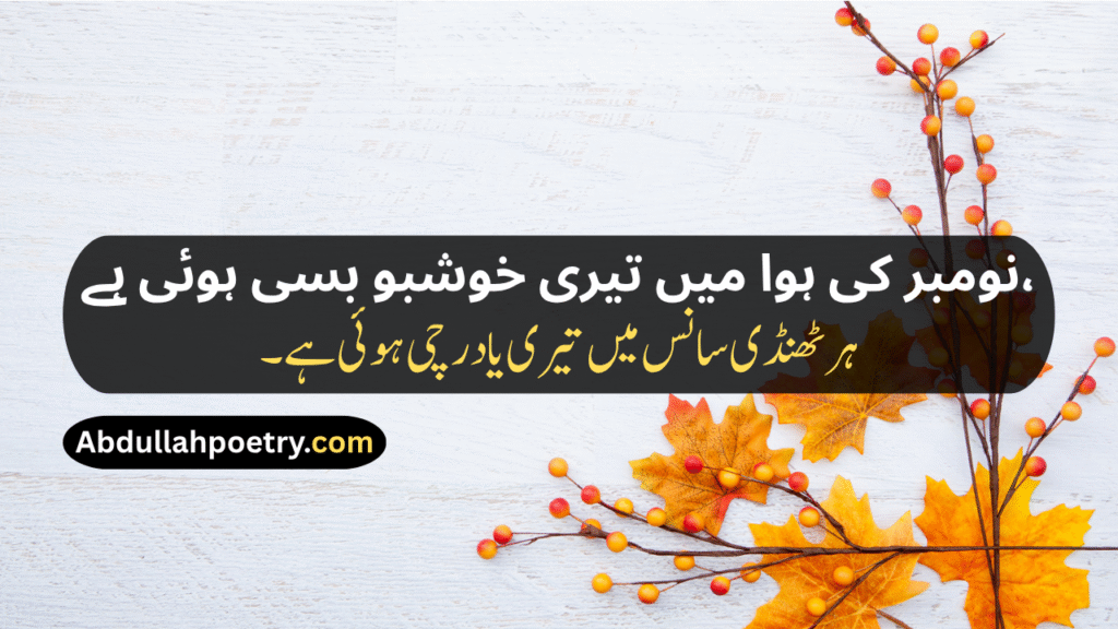 November Poetry
November Poetry In Urdu
November Poetry In Urdu 2 Lines
November Poetry In Urdu 2 Lines Copy Paste
November Poetry In Urdu Text
November Sad Poetry
November Love Poetry
Alvida November Poetry 
November Shayari
November Shayari 2 Lines
November Sad Shayari
November Love Shayari
Alvida November Shayari
November Shayari In Punjabi
November Shayari In Hindi
November Shayari In English