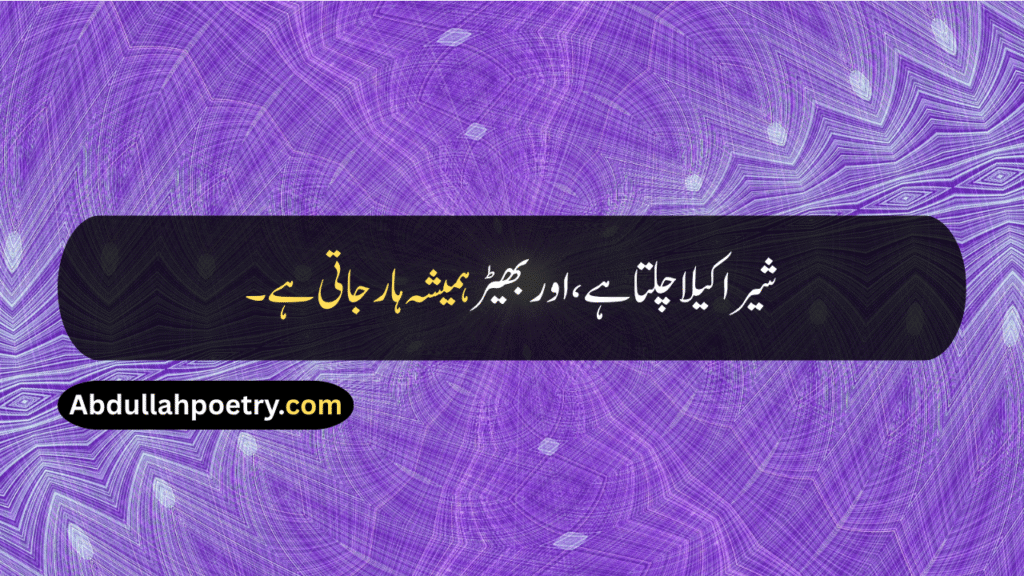 Attitude Quotes
Self Attitude Quotes For Girls
Attitude Quotes For Boys
Attitude Quotes For Instagram
Self Attitude Quotes
Strong Attitude Quotes
Attitude Personality Quotes
Positive Attitude Quotes
Short Attitude Quotes
Life Attitude Quotes
Cool Attitude Quotes
Best Attitude Quotes
Positive Attitude Hard Work Quotes
Attitude Powerful Lion Quotes
Attitude Quotes For Men
Attitude Single Quotes
Attitude Self Love Quotes
Attitude Self Respect Quotes
Attitude Quotes In Hindi
Attitude Quotes In English