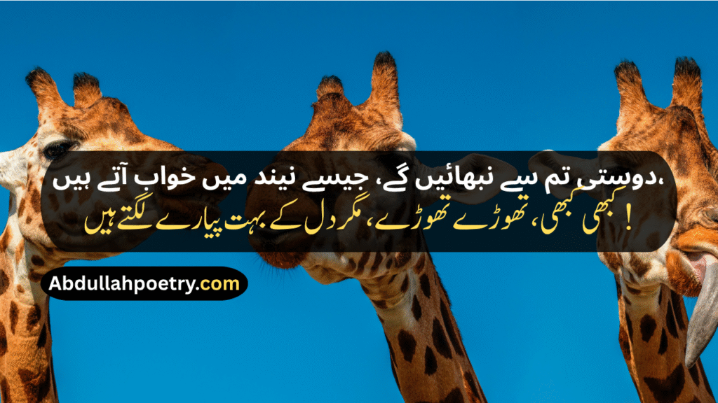 Funny Poetry In Urdu
Funny Poetry In Urdu For Friends
Funny Poetry In Urdu 2 Lines
Funny Poetry In Urdu For Students
Funny Poetry For Teachers In Urdu
Funny Poetry In Urdu For Teachers
Funny Poetry On Girl In Urdu
Funny Friendship Poetry In Urdu Two Lines
Funny Poetry For Girls
Funny Shayari
Funny Friendship Shayari
Jokes Funny Shayari
Funny Love Shayari
2 Line Funny Shayari For Best Friend
Funny Shayari For Girls
2 Line Funny Shayari
Bhabhi Shayari Funny
Funny Poetry In Punjabi
Funny Shayari In Hindi
Funny Shayari In English