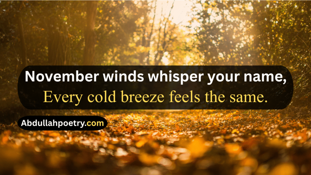 November Poetry
November Poetry In Urdu
November Poetry In Urdu 2 Lines
November Poetry In Urdu 2 Lines Copy Paste
November Poetry In Urdu Text
November Sad Poetry
November Love Poetry
Alvida November Poetry 
November Shayari
November Shayari 2 Lines
November Sad Shayari
November Love Shayari
Alvida November Shayari
November Shayari In Punjabi
November Shayari In Hindi
November Shayari In English