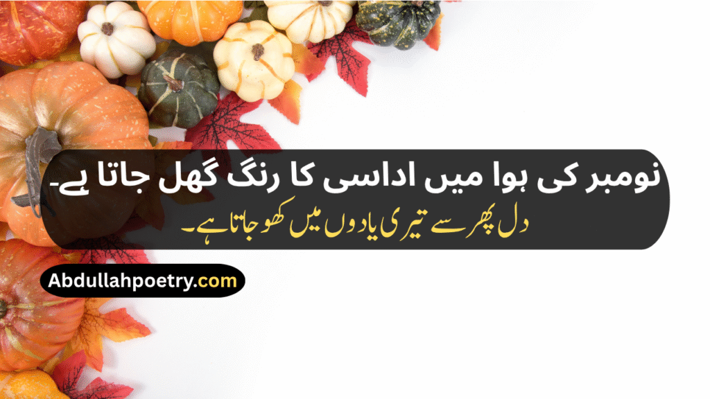 November Poetry
November Poetry In Urdu
November Poetry In Urdu 2 Lines
November Poetry In Urdu 2 Lines Copy Paste
November Poetry In Urdu Text
November Sad Poetry
November Love Poetry
Alvida November Poetry 
November Shayari
November Shayari 2 Lines
November Sad Shayari
November Love Shayari
Alvida November Shayari
November Shayari In Punjabi
November Shayari In Hindi
November Shayari In English