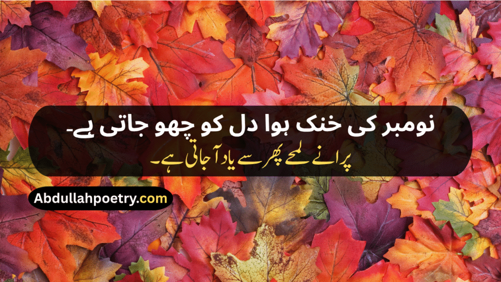 November Poetry
November Poetry In Urdu
November Poetry In Urdu 2 Lines
November Poetry In Urdu 2 Lines Copy Paste
November Poetry In Urdu Text
November Sad Poetry
November Love Poetry
Alvida November Poetry 
November Shayari
November Shayari 2 Lines
November Sad Shayari
November Love Shayari
Alvida November Shayari
November Shayari In Punjabi
November Shayari In Hindi
November Shayari In English