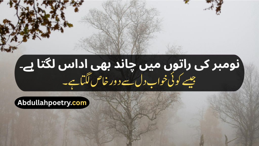 November Poetry
November Poetry In Urdu
November Poetry In Urdu 2 Lines
November Poetry In Urdu 2 Lines Copy Paste
November Poetry In Urdu Text
November Sad Poetry
November Love Poetry
Alvida November Poetry 
November Shayari
November Shayari 2 Lines
November Sad Shayari
November Love Shayari
Alvida November Shayari
November Shayari In Punjabi
November Shayari In Hindi
November Shayari In English