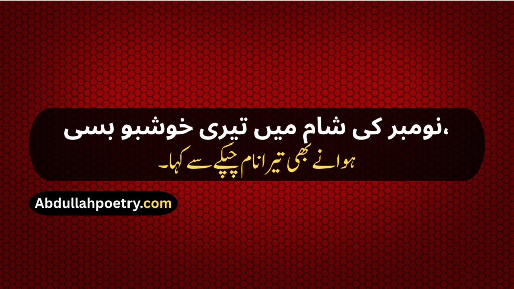 November Poetry
November Poetry In Urdu
November Poetry In Urdu 2 Lines
November Poetry In Urdu 2 Lines Copy Paste
November Poetry In Urdu Text
November Sad Poetry
November Love Poetry
Alvida November Poetry 
November Shayari
November Shayari 2 Lines
November Sad Shayari
November Love Shayari
Alvida November Shayari
November Shayari In Punjabi
November Shayari In Hindi
November Shayari In English