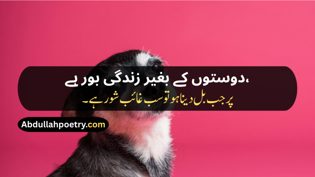 Funny Poetry In Urdu
Funny Poetry In Urdu For Friends
Funny Poetry In Urdu 2 Lines
Funny Poetry In Urdu For Students
Funny Poetry For Teachers In Urdu
Funny Poetry In Urdu For Teachers
Funny Poetry On Girl In Urdu
Funny Friendship Poetry In Urdu Two Lines
Funny Poetry For Girls
Funny Shayari
Funny Friendship Shayari
Jokes Funny Shayari
Funny Love Shayari
2 Line Funny Shayari For Best Friend
Funny Shayari For Girls
2 Line Funny Shayari
Bhabhi Shayari Funny
Funny Poetry In Punjabi
Funny Shayari In Hindi
Funny Shayari In English