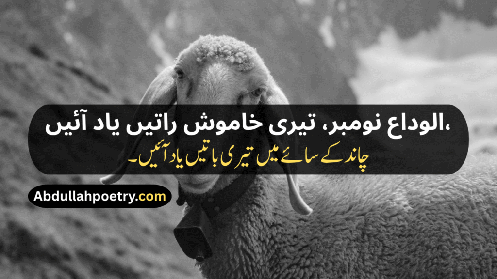 November Poetry
November Poetry In Urdu
November Poetry In Urdu 2 Lines
November Poetry In Urdu 2 Lines Copy Paste
November Poetry In Urdu Text
November Sad Poetry
November Love Poetry
Alvida November Poetry 
November Shayari
November Shayari 2 Lines
November Sad Shayari
November Love Shayari
Alvida November Shayari
November Shayari In Punjabi
November Shayari In Hindi
November Shayari In English