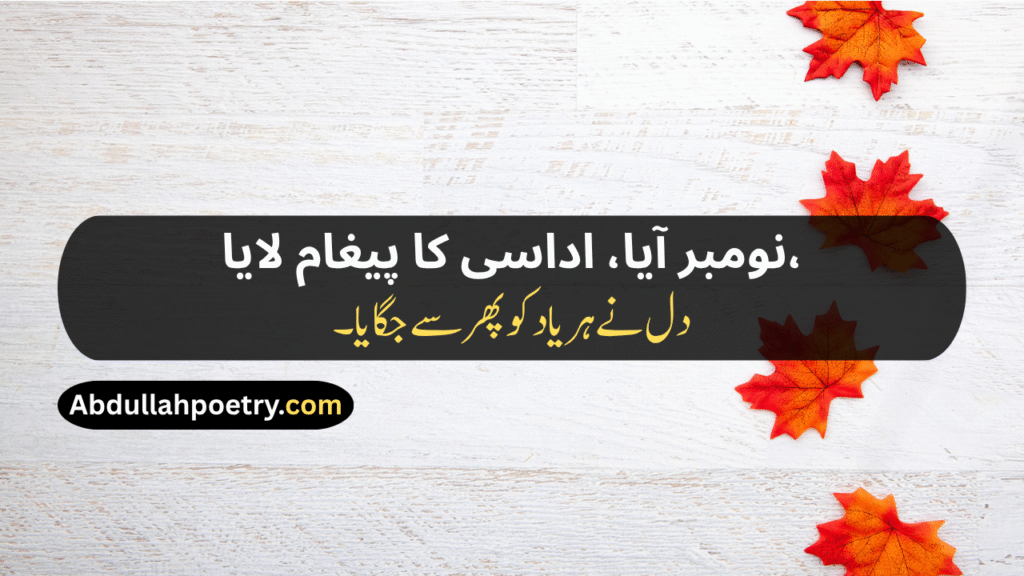 November Poetry
November Poetry In Urdu
November Poetry In Urdu 2 Lines
November Poetry In Urdu 2 Lines Copy Paste
November Poetry In Urdu Text
November Sad Poetry
November Love Poetry
Alvida November Poetry 
November Shayari
November Shayari 2 Lines
November Sad Shayari
November Love Shayari
Alvida November Shayari
November Shayari In Punjabi
November Shayari In Hindi
November Shayari In English