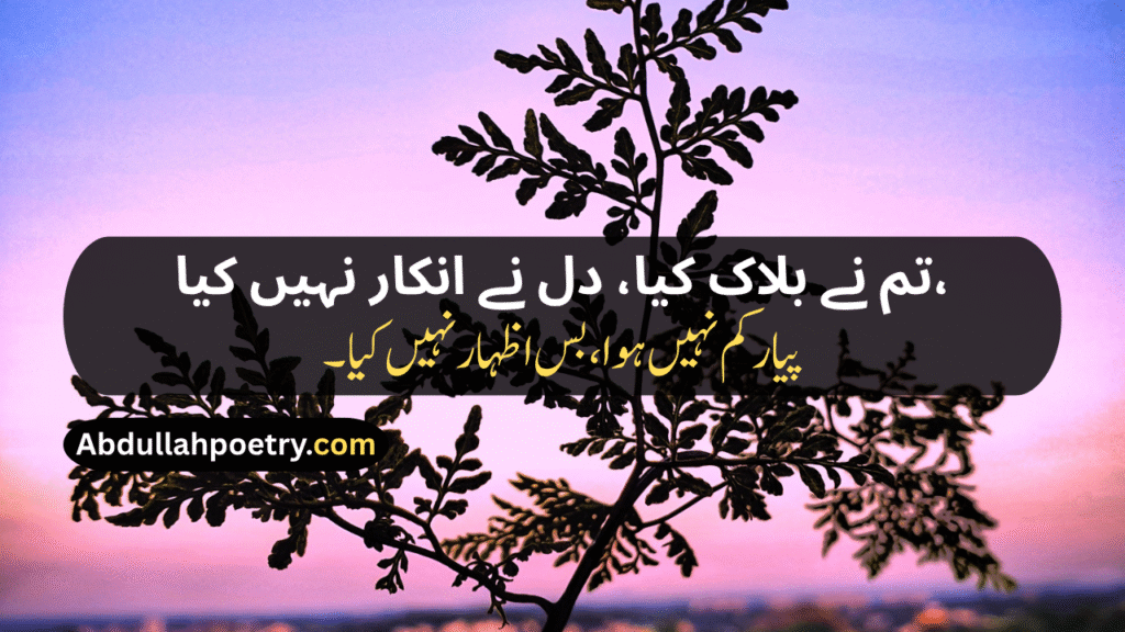 True Love Shayari
True Love Love Shayari
True Love Miss You Shayari
Boyfriend True Love Love Shayari
True Love Shayari For Bf
True Love Good Night Romantic Shayari
True Love Breakup Shayari
Love True Love Sorry Shayari
True Love Breakup Shayari For Boyfriend
True Love Block Shayari
True Love Husband Wife Shayari
True Love Chocolate Shayari
True Love Birthday Shayari For Boyfriend
True Love Shayari In Hindi
True Love Short Love Shayari In English