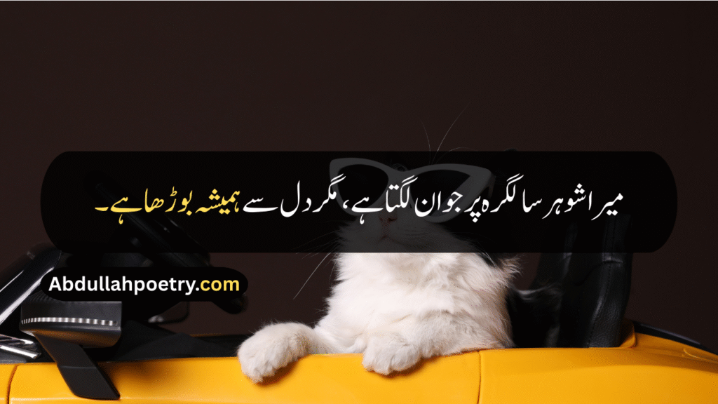 Funny Quotes
Funny Quotes In Urdu
Funny Quotes In Urdu Text
Funny Quotes In Urdu Copy Paste
Funny Quotes In Urdu Text Copy Paste
Funny Quotes In Urdu For Whatsapp
Short Funny Quotes In Urdu
Funny Friendship Quotes
Funny Best Friend Quotes
Funny Quotes For Teachers
Bff Quotes Funny
Funny Girl Quotes
Funny Quotes About Life
Birthday Quotes For Husband Funny
Funny anniversary Quotes For Husband
Brother Sister Funny Quotes
Funny Brother And Sister Quotes
Funny Brother Quotes
Funny Cousin Quotes
Funny Quotes In Hindi
Funny Quotes In English