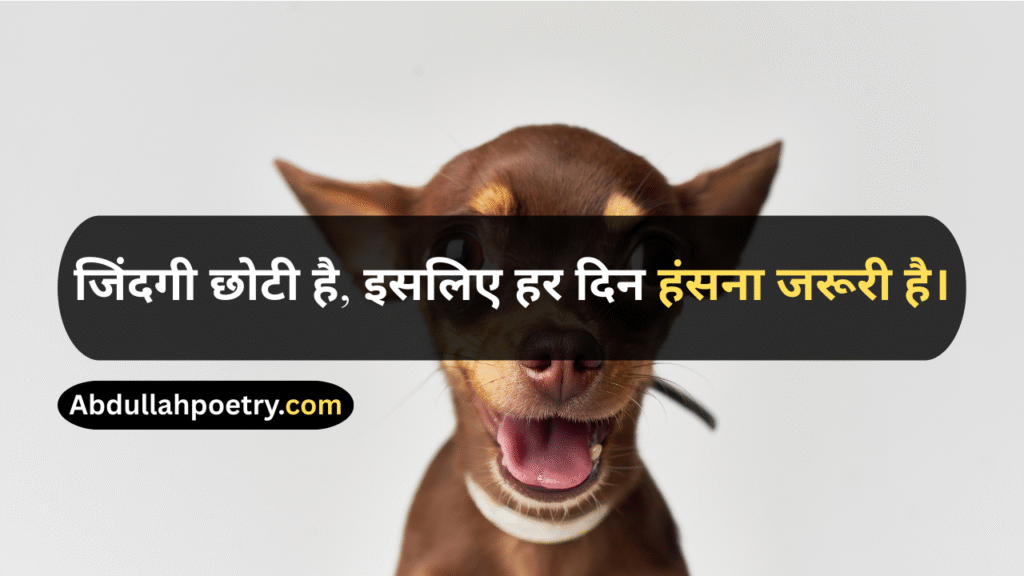 Funny Quotes
Funny Quotes In Urdu
Funny Quotes In Urdu Text
Funny Quotes In Urdu Copy Paste
Funny Quotes In Urdu Text Copy Paste
Funny Quotes In Urdu For Whatsapp
Short Funny Quotes In Urdu
Funny Friendship Quotes
Funny Best Friend Quotes
Funny Quotes For Teachers
Bff Quotes Funny
Funny Girl Quotes
Funny Quotes About Life
Birthday Quotes For Husband Funny
Funny anniversary Quotes For Husband
Brother Sister Funny Quotes
Funny Brother And Sister Quotes
Funny Brother Quotes
Funny Cousin Quotes
Funny Quotes In Hindi
Funny Quotes In English