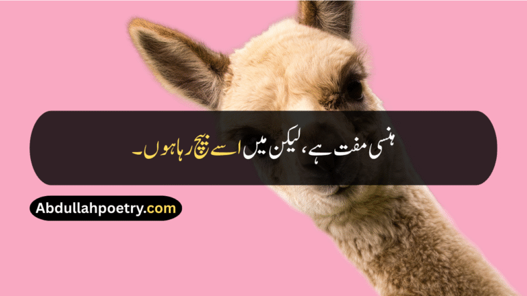 100+ Funny Quotes in Urdu, Hindi & English | Hilarious Friendship, Life, Birthday & Family Funny Lines
