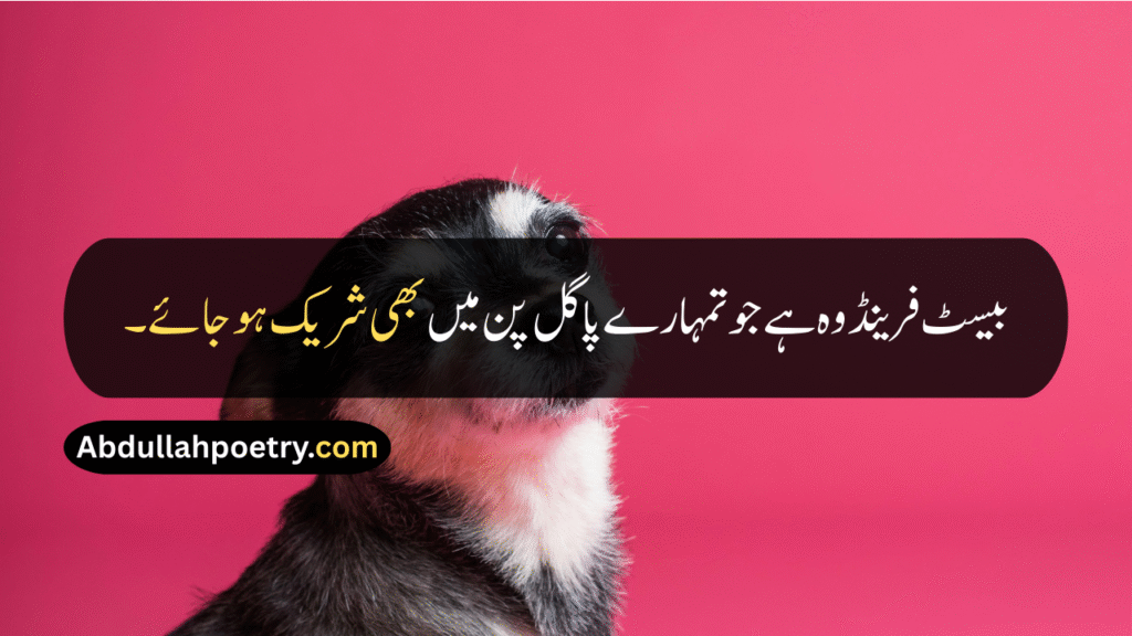 Funny Quotes
Funny Quotes In Urdu
Funny Quotes In Urdu Text
Funny Quotes In Urdu Copy Paste
Funny Quotes In Urdu Text Copy Paste
Funny Quotes In Urdu For Whatsapp
Short Funny Quotes In Urdu
Funny Friendship Quotes
Funny Best Friend Quotes
Funny Quotes For Teachers
Bff Quotes Funny
Funny Girl Quotes
Funny Quotes About Life
Birthday Quotes For Husband Funny
Funny anniversary Quotes For Husband
Brother Sister Funny Quotes
Funny Brother And Sister Quotes
Funny Brother Quotes
Funny Cousin Quotes
Funny Quotes In Hindi
Funny Quotes In English