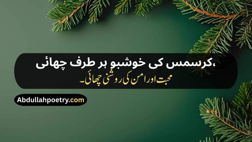 Christmas Poetry
Christmas Poetry For Kids
Christmas Poetry Ks2
Christmas Poetry Christian
Christmas Poetry Christian In Urdu
Christmas Poetry Funny
Christmas Poetry In Urdu
Christmas Poetry In Urdu Text
Short Christmas Poetry In Urdu
Short Christmas Poetry In Urdu Text
Beautiful Christmas Poetry In Urdu
Christmas Shayari
Christmas Shayari In Urdu
Christmas Day Shayari
Happy Christmas Shayari
Happy Christmas Day Shayari
Merry Christmas Shayari
Christmas Shayari Funny
Christmas Shayari For Friends
Christmas Shayari For Love
Christmas Shayari In Punjabi
Christmas Shayari In Hindi
Christmas Shayari English
