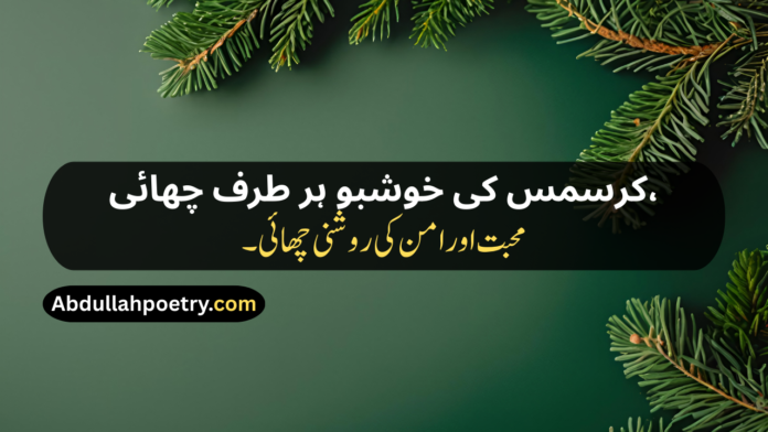 Christmas Poetry Christmas Poetry For Kids Christmas Poetry Ks2 Christmas Poetry Christian Christmas Poetry Christian In Urdu Christmas Poetry Funny Christmas Poetry In Urdu Christmas Poetry In Urdu Text Short Christmas Poetry In Urdu Short Christmas Poetry In Urdu Text Beautiful Christmas Poetry In Urdu Christmas Shayari Christmas Shayari In Urdu Christmas Day Shayari Happy Christmas Shayari Happy Christmas Day Shayari Merry Christmas Shayari Christmas Shayari Funny Christmas Shayari For Friends Christmas Shayari For Love Christmas Shayari In Punjabi Christmas Shayari In Hindi Christmas Shayari English