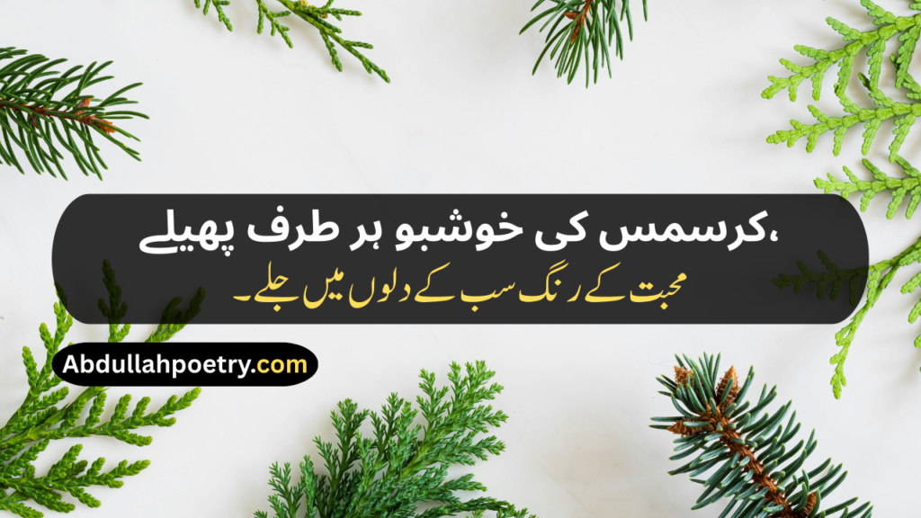Christmas Poetry
Christmas Poetry For Kids
Christmas Poetry Ks2
Christmas Poetry Christian
Christmas Poetry Christian In Urdu
Christmas Poetry Funny
Christmas Poetry In Urdu
Christmas Poetry In Urdu Text
Short Christmas Poetry In Urdu
Short Christmas Poetry In Urdu Text
Beautiful Christmas Poetry In Urdu
Christmas Shayari
Christmas Shayari In Urdu
Christmas Day Shayari
Happy Christmas Shayari
Happy Christmas Day Shayari
Merry Christmas Shayari
Christmas Shayari Funny
Christmas Shayari For Friends
Christmas Shayari For Love
Christmas Shayari In Punjabi
Christmas Shayari In Hindi
Christmas Shayari English
