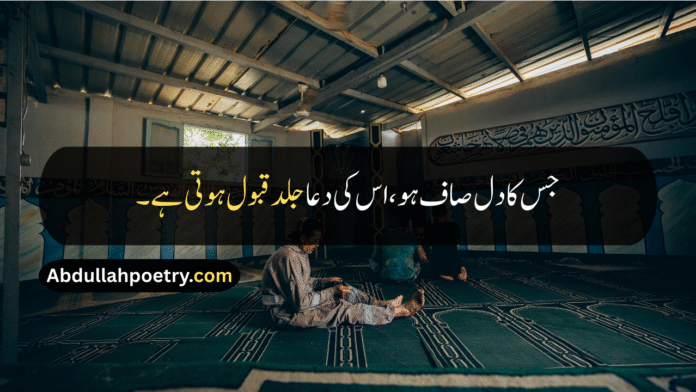 Hazrat Ali Quotes Hazrat Ali Quotes In Urdu Hazrat Ali Quotes In Urdu Text Hazrat Ali Quotes In Urdu Text Copy Paste Hazrat Ali Quotes In Urdu 2 Lines Hazrat Ali Quotes About Friendship Hazrat Ali Quotes About Love Hazrat Ali Quotes In Urdu Love Hazrat Ali Quotes In Urdu About Love Islamic Quotes In Urdu Hazrat Ali Islamic Quotes By Hazrat Ali Hazrat Ali RA Quotes Hazrat Ali Quotes About Life Hazrat Ali Quotes About Life In Urdu Hazrat Ali Quotes In Urdu About Life Hazrat Ali Quotes In Hindi Hazrat Ali Quotes In English